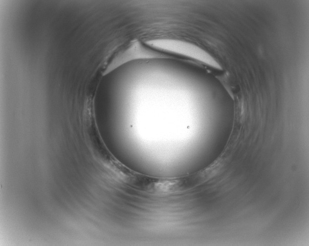 X0000066500172200604072250