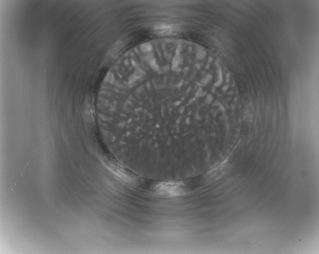 X0000066500179200604072250