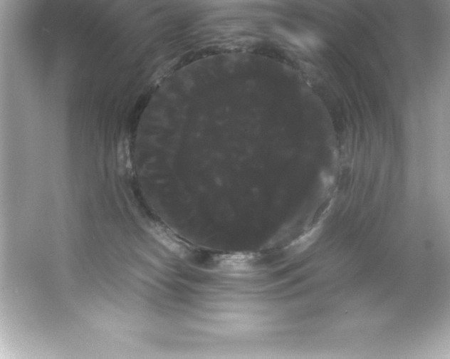 X0000066500182200604072250