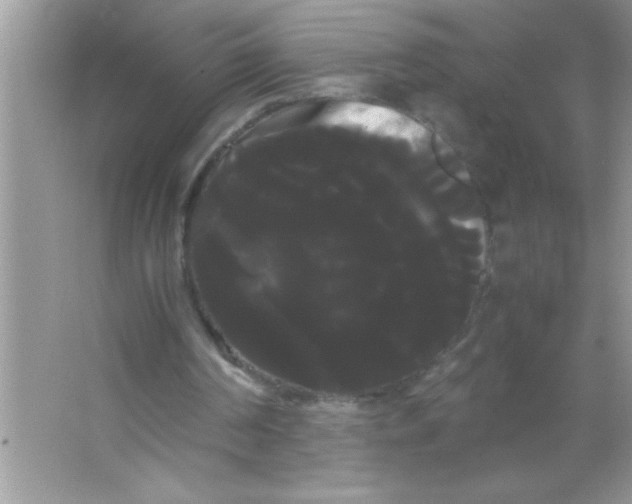 X0000066500194200604072249