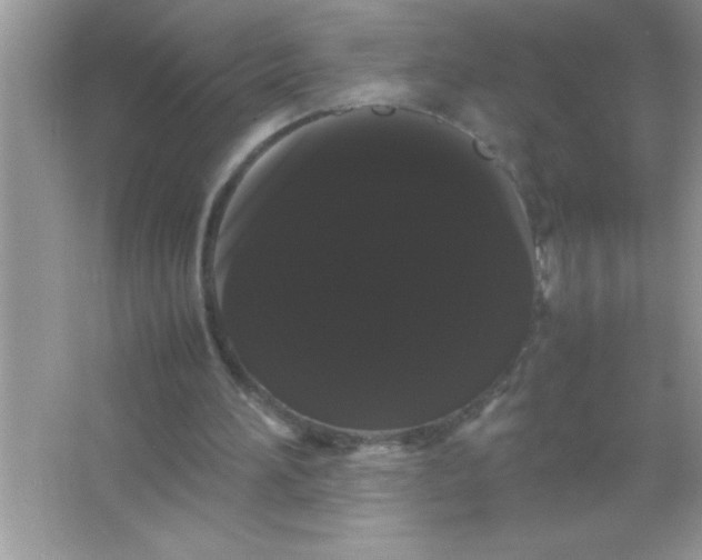 X0000066500196200604072249
