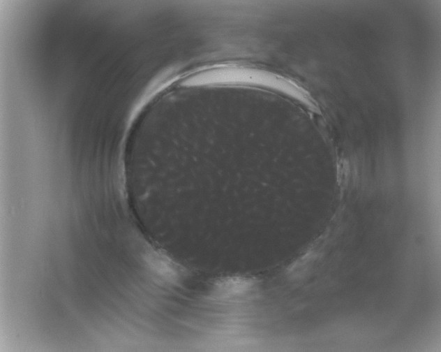 X0000066500198200604072249