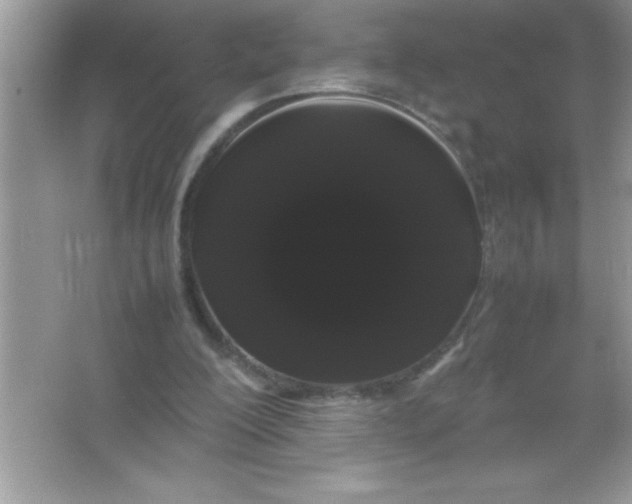 X0000066500200200604072249