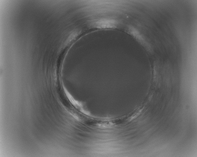 X0000066500202200604072249