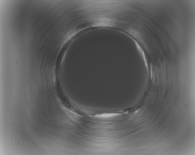 X0000066500204200604072249