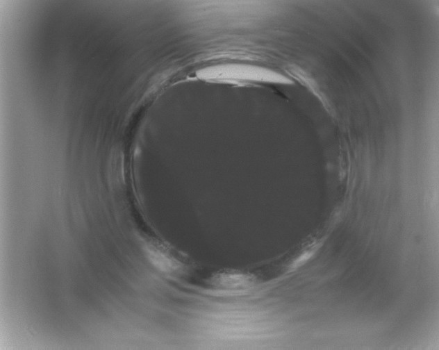 X0000066500205200604072249