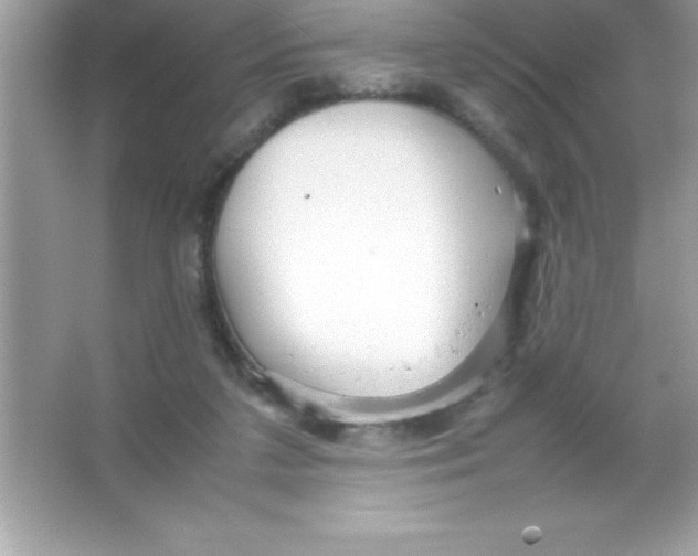 X0000066500211200604072249