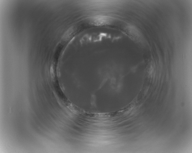 X0000066500214200604072249