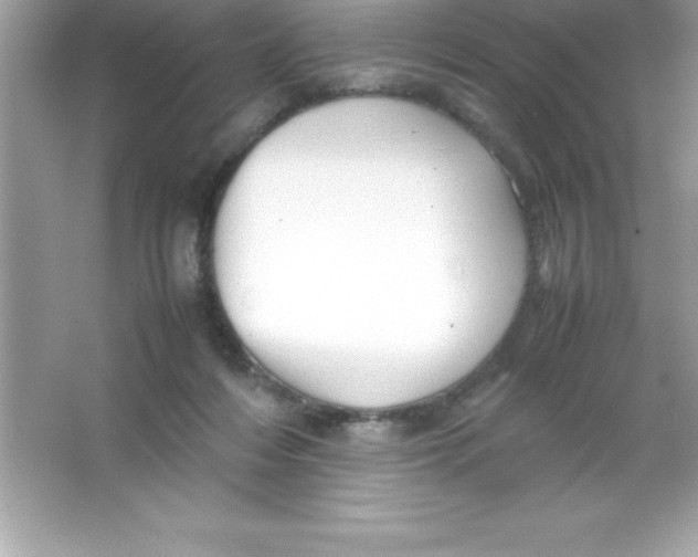 X0000066500216200604072249