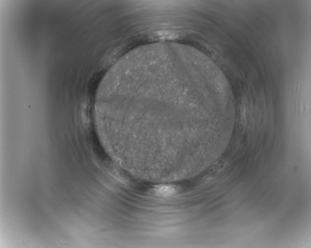 X0000066500218200604072249