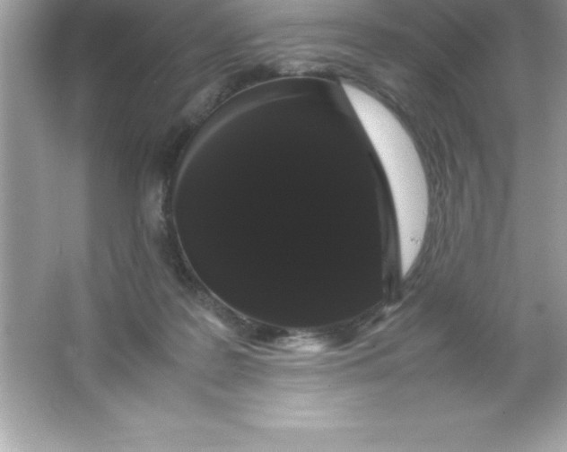 X0000066500219200604072249