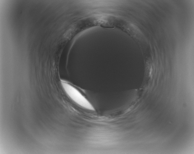 X0000066500223200604072249