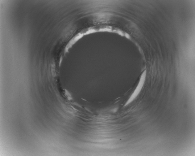 X0000066500224200604072249