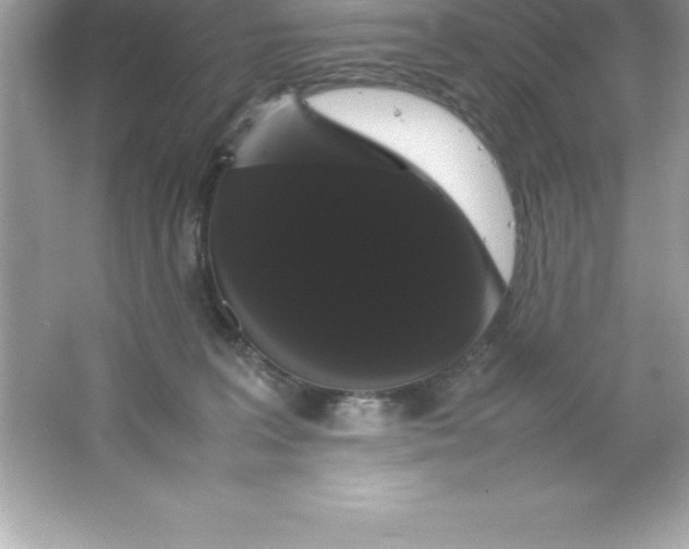 X0000066500227200604072249