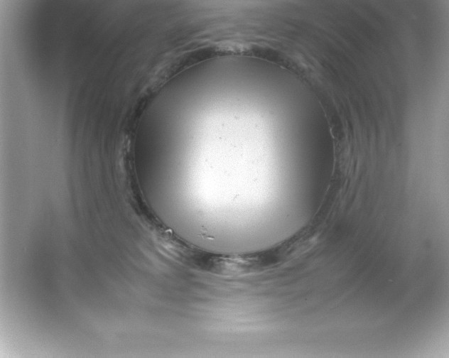 X0000066500229200604072249