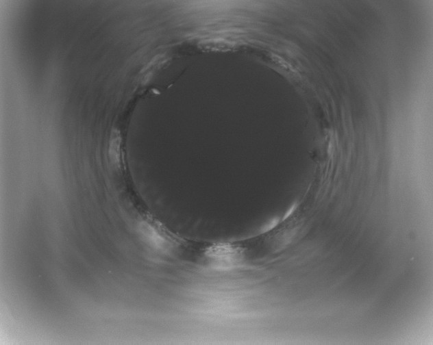 X0000066500231200604072249