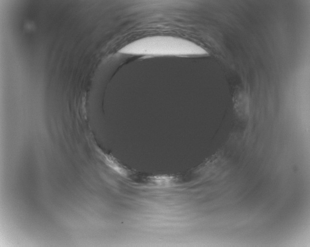 X0000066500233200604072249