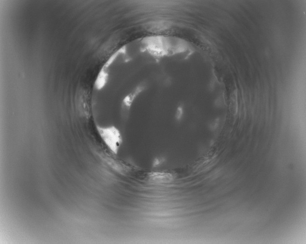 X0000066500234200604072249