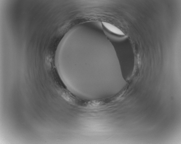 X0000066500235200604072249