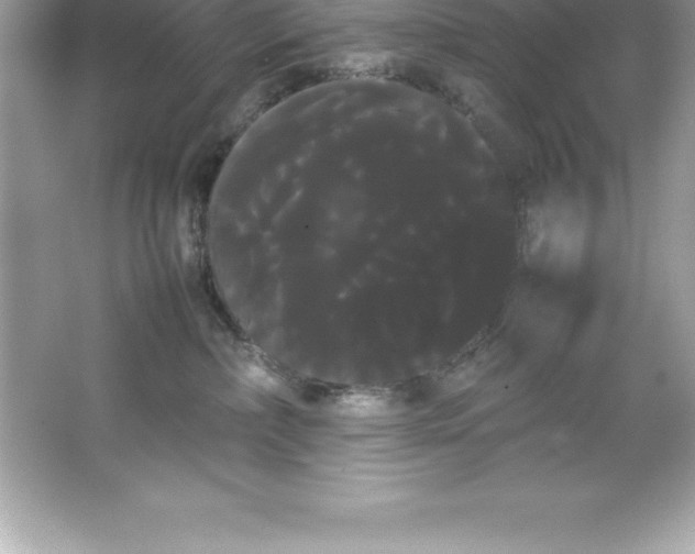 X0000066500236200604072249