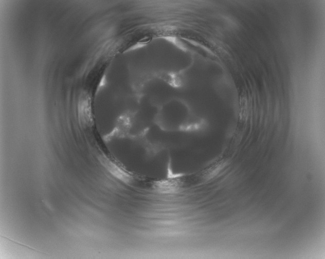 X0000066500238200604072249