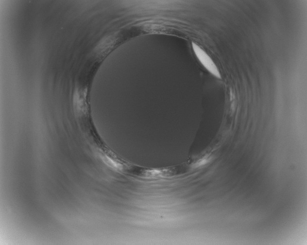 X0000066500239200604072249