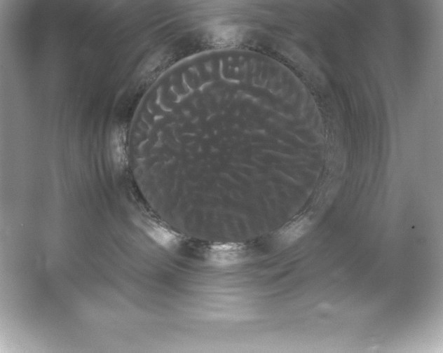 X0000066500240200604072249