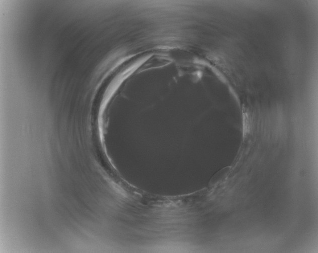 X0000066500243200604072248