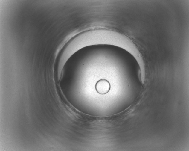 X0000066500244200604072248
