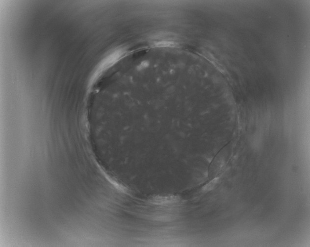 X0000066500245200604072248