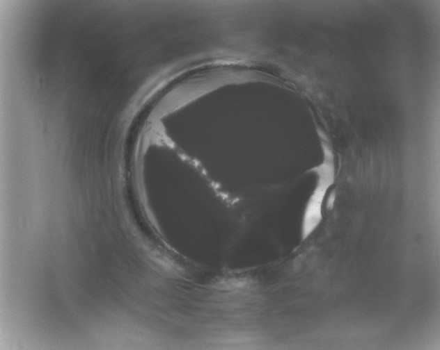 X0000066500247200604072248