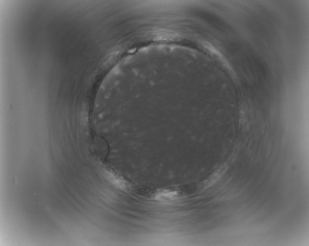 X0000066500257200604072248