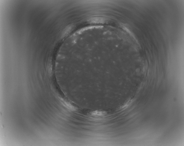 X0000066500261200604072248
