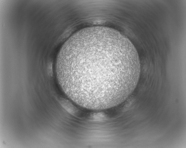 X0000066500262200604072248