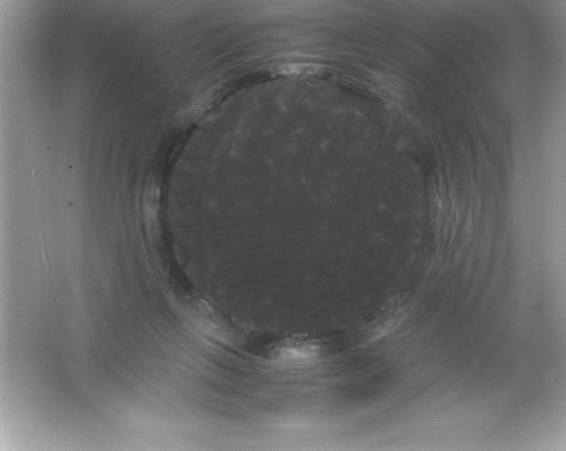 X0000066500263200604072248