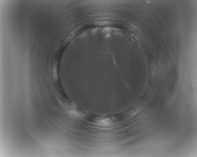 X0000066500267200604072248