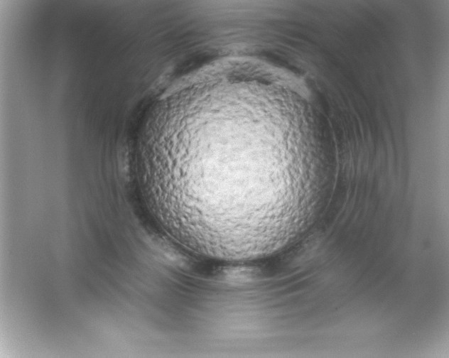 X0000066500268200604072248