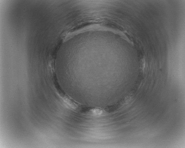 X0000066500272200604072248