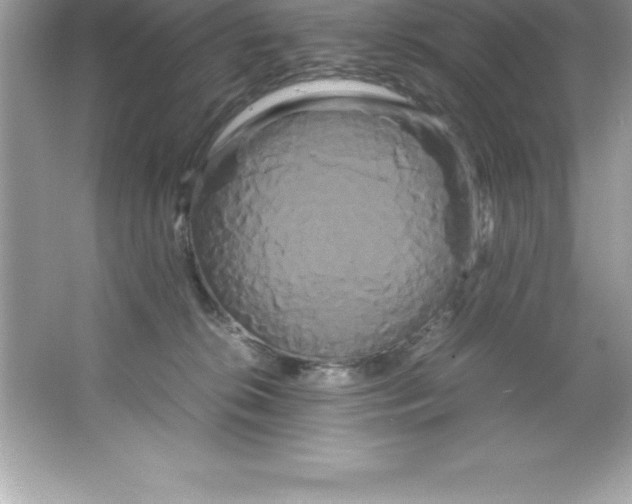 X0000066500276200604072248