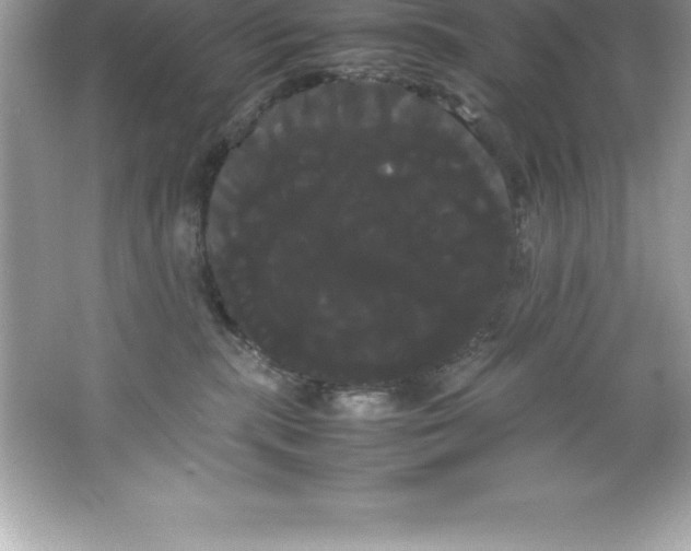 X0000066500283200604072249