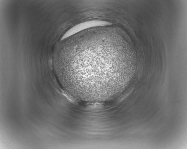 X0000066500288200604072249