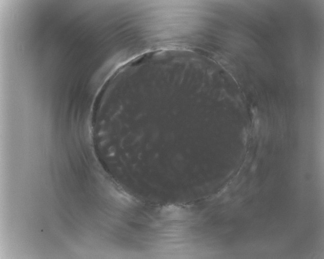 X0000066500290200604072248