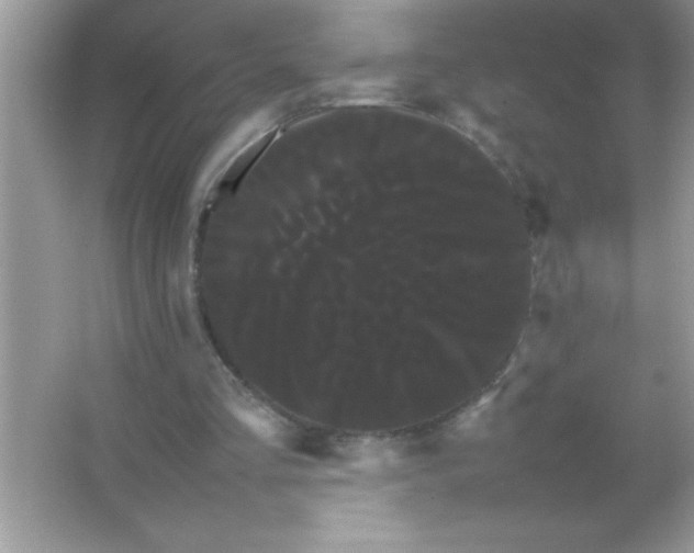 X0000066500293200604072248