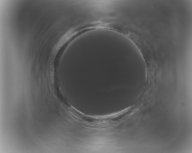 X0000066500295200604072248