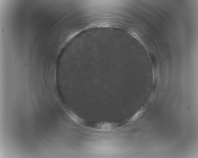 X0000066500301200604072248