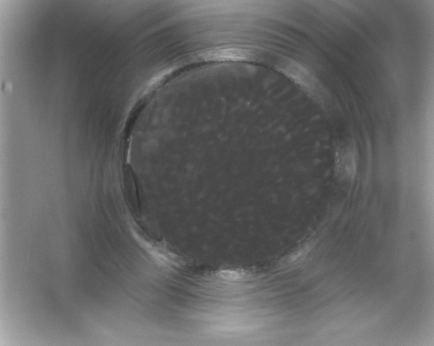 X0000066500302200604072248
