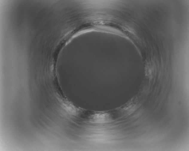 X0000066500314200604072247