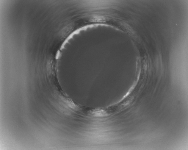 X0000066500322200604072247