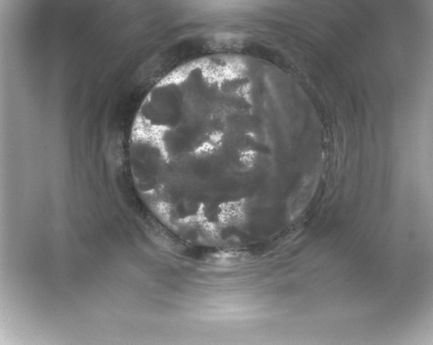X0000066500323200604072247