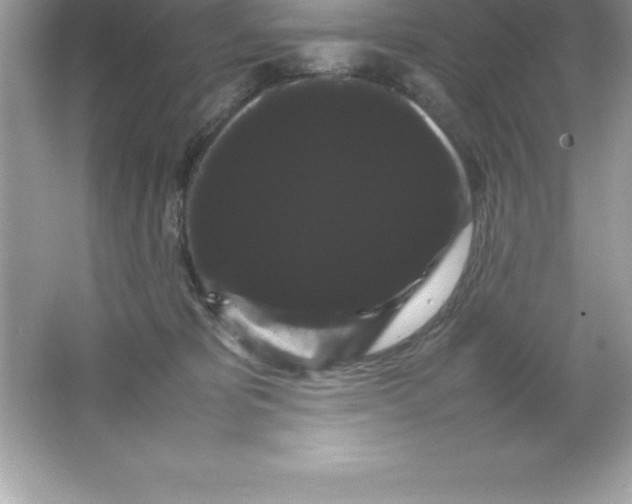 X0000066500325200604072247